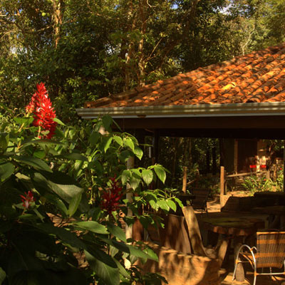 Cantos da Mata — foto 5